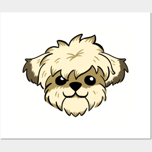 Messy short haired shih Tzu Posters and Art